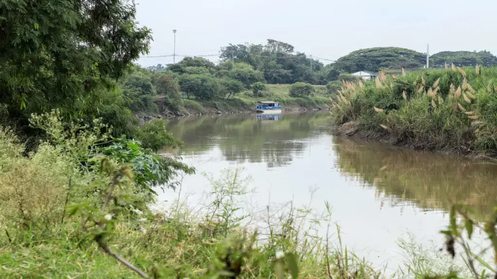Alcaldía de Cali.